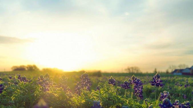 如何评价杨***钰这个人？